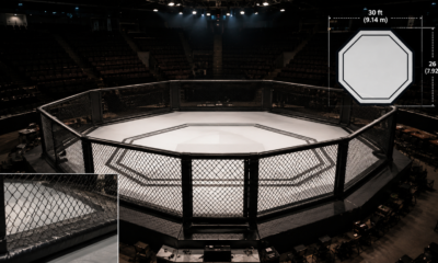 UFC Octagon