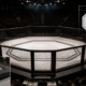 UFC Octagon