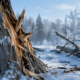 Exploding Trees